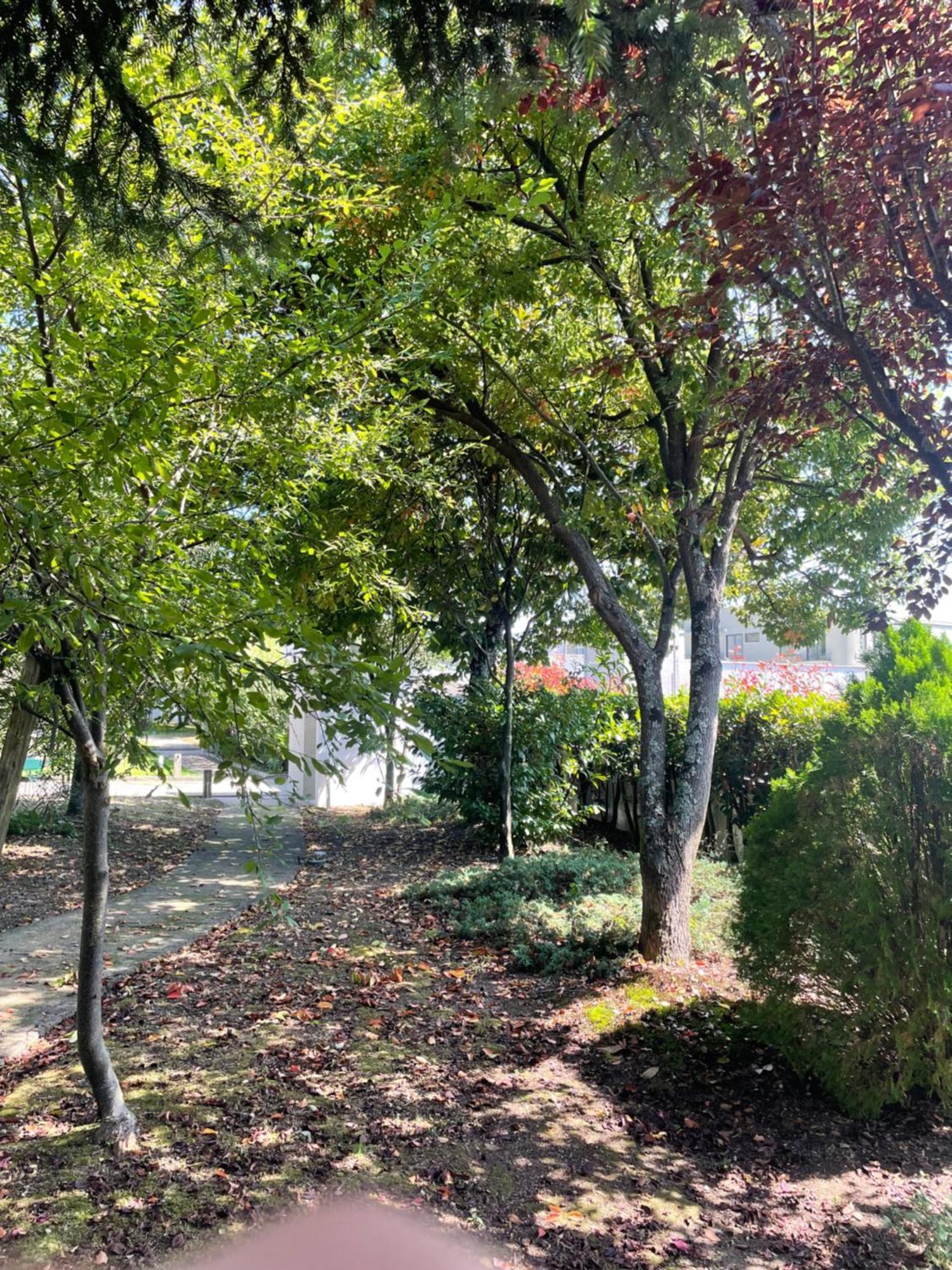 Vilela  Casa De Lamacais מראה חיצוני תמונה